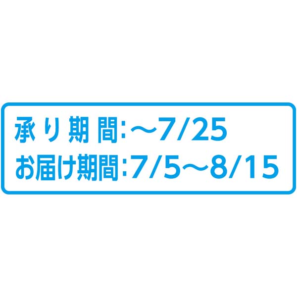 北海道共和町産(JAきょうわ) らいでんメロンプレミアム 秀品2L(お届け期間：7/5〜8/15)【夏の贈りもの・お中元】　商品画像2