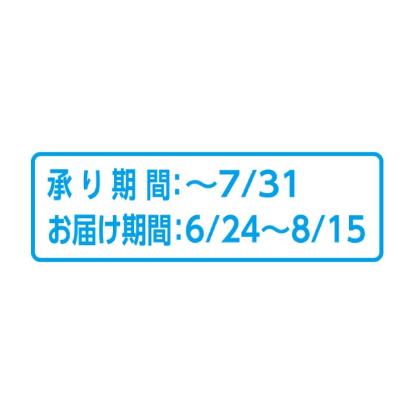 北海道富良野市産 ふらのメロンの玉手箱 秀品(お届け期間：6/24〜8/15)【夏の贈りもの・お中元】　商品画像4