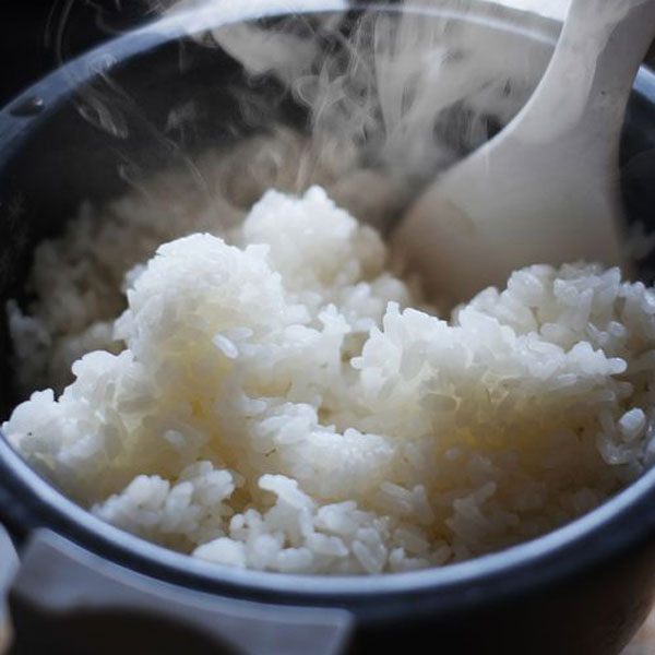 【令和6年産】【精米】新潟県産 こしひかり 5kg【おいしいお取り寄せ】　商品画像4