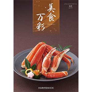 ハーモニック 美食万彩 榛摺(はりずり)【夏の贈りもの・お中元】