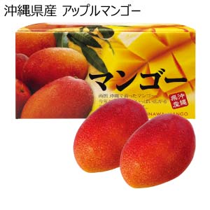 沖縄県産 アップルマンゴー(お届け期間：6/21〜8/10)【夏の贈りもの・お中元】