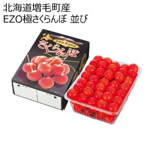 北海道増毛町産 EZO極さくらんぼ 並び(お届け期間：7/1〜8/15)【夏の贈りもの・お中元】