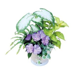 花の海 夏の寄せ植え「木漏れ日」(SUSTEE付)(お届け期間：7/1〜8/15)【夏の贈りもの・お中元】