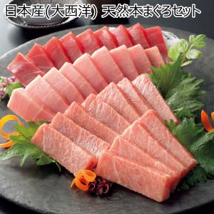 日本産(大西洋) 天然本まぐろセット【夏の贈りもの・お中元】