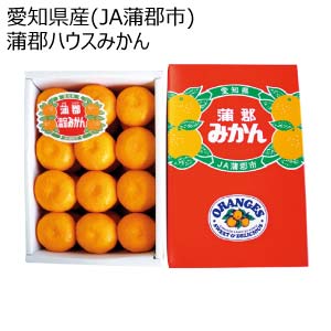 愛知県産(JA蒲郡市) 蒲郡ハウスみかん(お届け期間：7/12〜8/15)【夏の贈りもの・お中元】