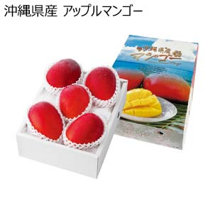 トップバリュ減の恵み・沖縄県産 アップルマンゴー(お届け期間：6/17〜8/15)【夏の贈りもの・お中元】