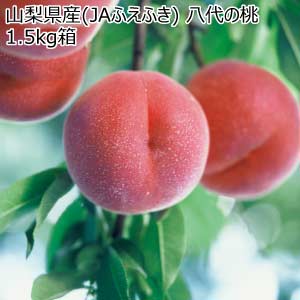 山梨県産(JAふえふき) 八代の桃 1.5kg箱(お届け期間：7/15〜8/15)【夏の贈りもの・お中元】