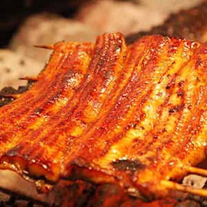 【神田明神下喜川】 国産手焼きうなぎ蒲焼 240g(約80g×3袋)(L5875)【サクワ】【直送】