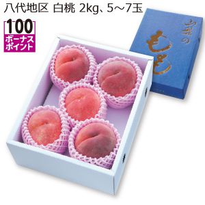 山梨県産(JAふえふき八代支所)白桃 2kg 5〜7玉【お届け期間:7/15(火)〜8/10(日)】【MK】