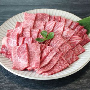 鳥取鳥取和牛鳥取和牛かたロース焼肉用鳥取和牛かたロース焼肉用500g【夏の贈りもの・お中元】【NN】