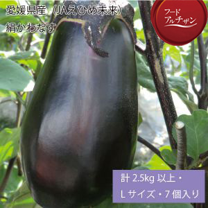 愛媛県産(JAえひめ未来)絹かわなす 計2.5kg以上・Lサイズ・7個入り 【お届け期間:7月1日〜8月31日】【NN】