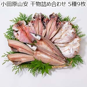 小田原山安 干物詰め合わせ 5種9枚【おいしいお取り寄せ】
