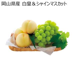 岡山県産 白皇＆シャインマスカット(お届け期間：8/21〜8/31)【夏の贈りもの・お中元】