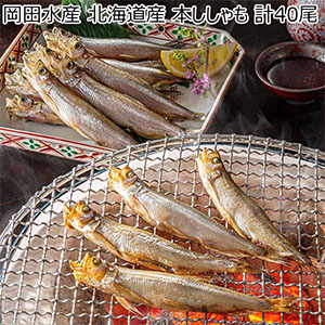 岡田水産 北海道産 本ししゃも 計40尾【おいしいお取り寄せ】